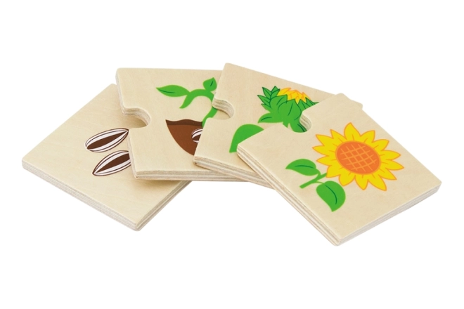 Dřevěné puzzle - evoluce