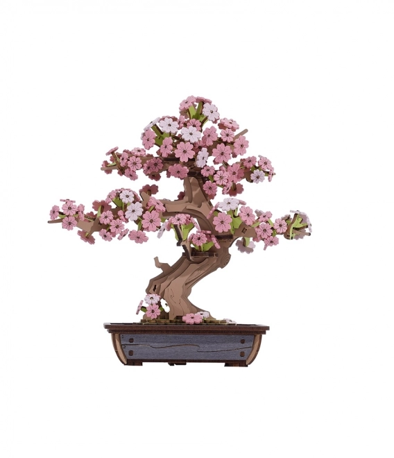 3D dřevěná skládačka Bonsai Sakura