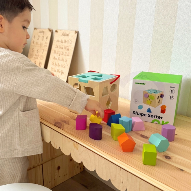 Dřevěná kostka s tvary TOOKY TOY