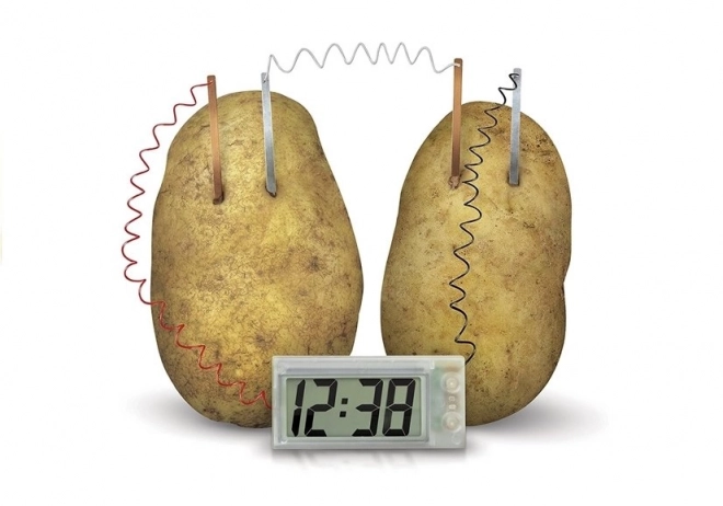 Kreativní vědecký experiment Sada hodin Eco Potato