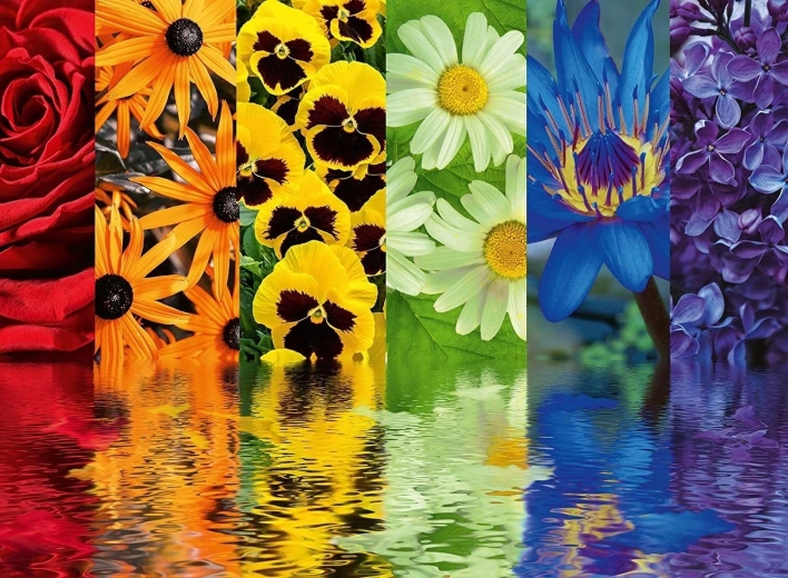 Ravensburger Puzzle Květinové vzory 500 dílků