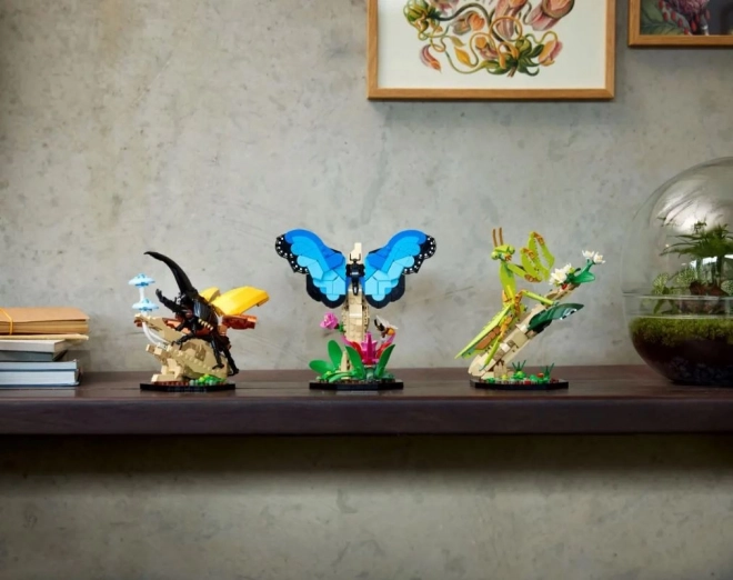LEGO® Ideas 21342 Hmyzí kolekce