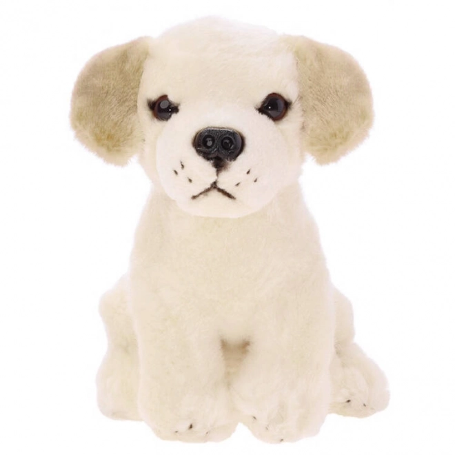 Maskot plyšový labrador sedící 20cm 13475