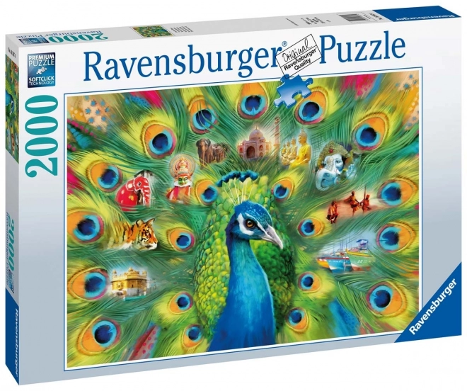 Puzzle 2000 dílků Pavi říše