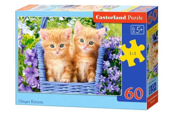 Puzzle 60 dílků Zrzavé koťata