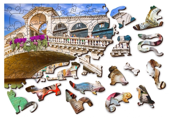 Dřevěné puzzle Koťata v Benátkách 2v1