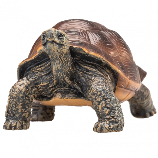 Věrné detaily a přírodní zbarvení