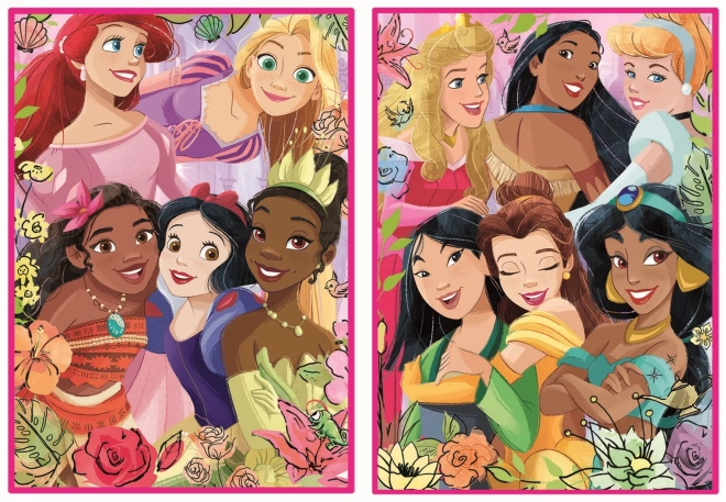 EDUCA Puzzle Disney princezny 2x500 dílků