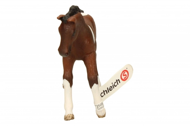 SCHLEICH Horse Club® 13758 Trakénský kůň - hříbě