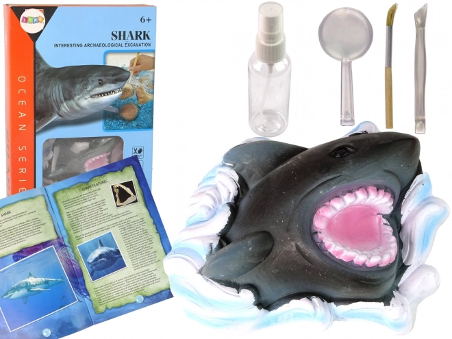 Vzdělávací sada Prozkoumávání oceánu - Rekin a trilobity