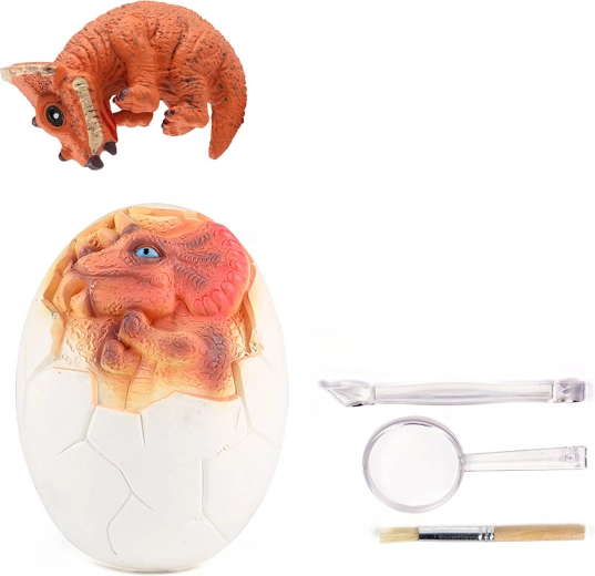 Vše potřebné pro malé paleontology