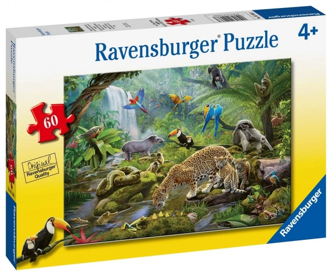 Ravensburger puzzle Zvířata tropického deštného pralesa 60 dílků