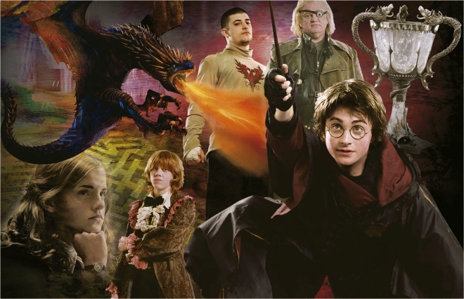 Educa miniaturní puzzle Harry Potter 1000 dílků