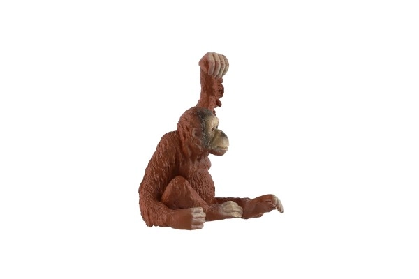 Podporuje kreativitu a učení