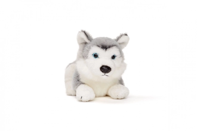 Plyšový husky 15 cm