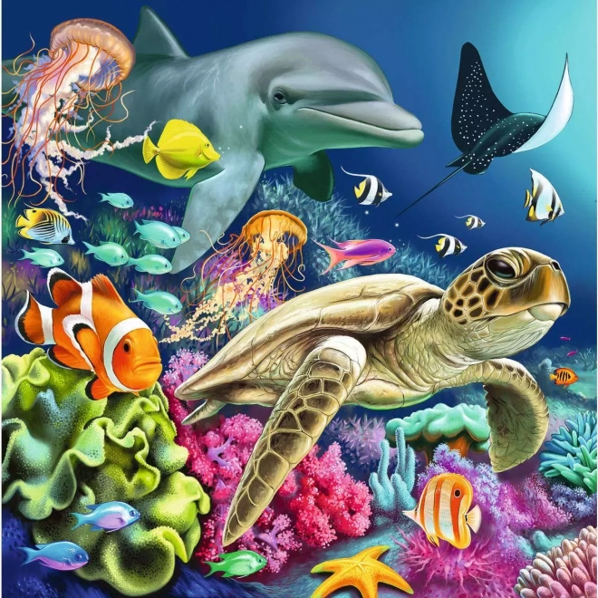 Puzzle Život pod vodou 3x49 dílků