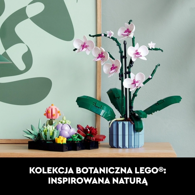 LEGO Botanické ikony 10309 Sukulenty