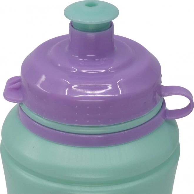 Láhev na pití Ledové království 380 ml
