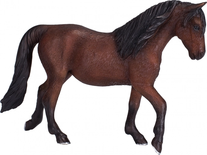 Kůň Morgan Palomino