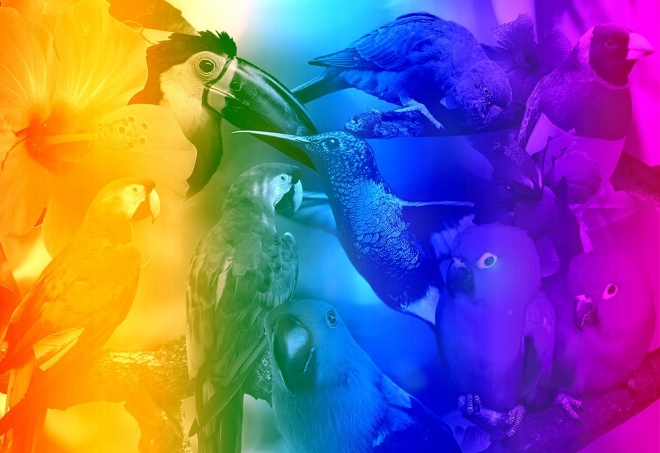 Dřevěné puzzle Ptačí ráj 2v1