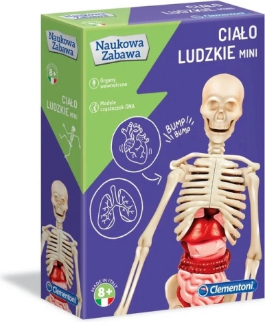 vědecká sada lidské tělo mini