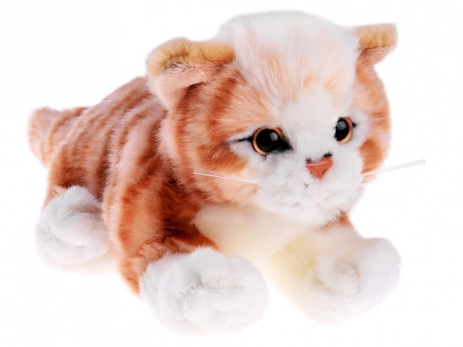 Rudý ležící koťátko 30 cm plyšák