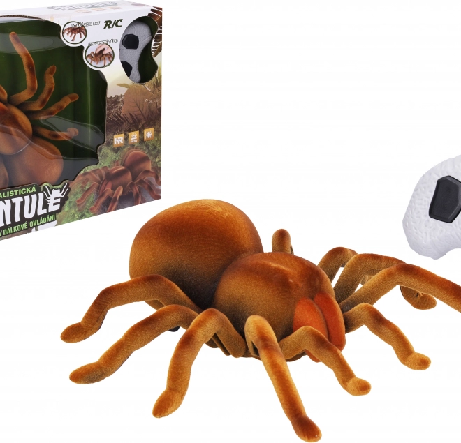 Tarantule na dálkové ovládání 24 cm