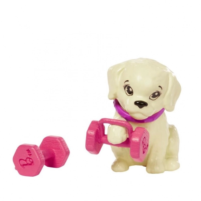 Barbie Wellness panenka - sportovní den HKT91