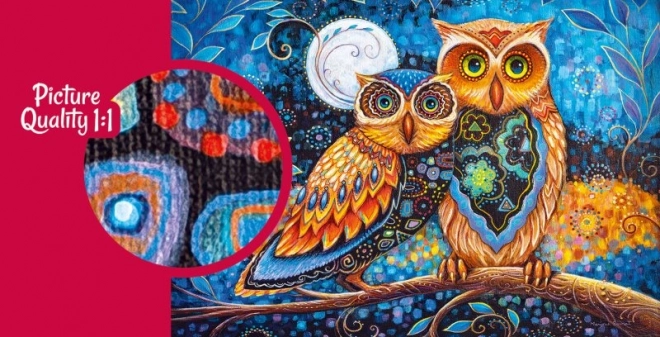 Puzzle Chvilka při měsíčku 2000 dílků