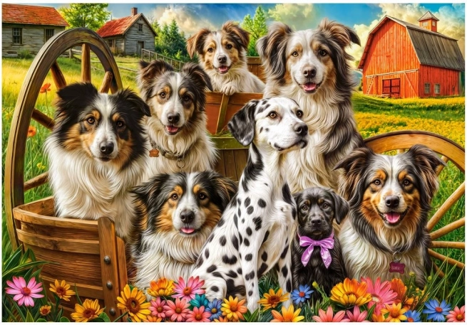 Castorland puzzle šťastní psi na venkově 1000 dílků