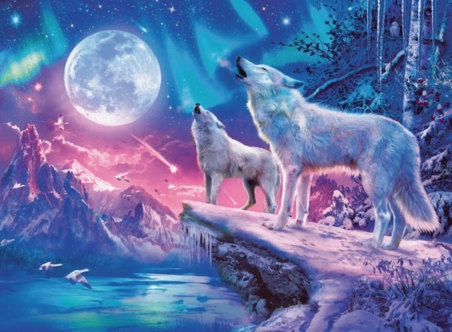 Ravensburger puzzle polární světlo 1000 dílků