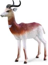 Collecta albatros stěhovavý – realistická figurka