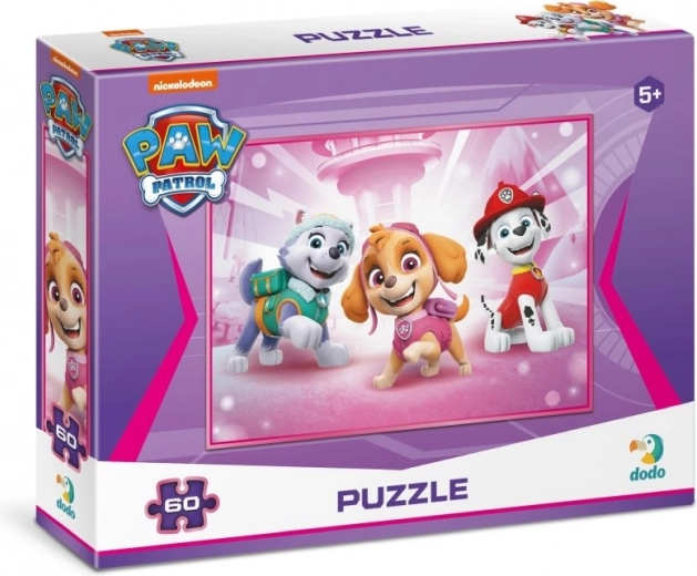 Puzzle Tlapková Patrola: Everest, Sky a Marshal 60 dílků
