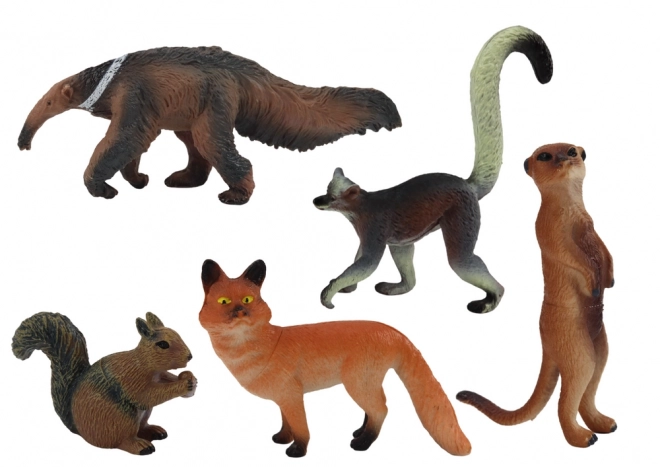 Figurky Zvířat 5 Ks: Veverka, Surikata, Mravenečník, Liška, Lemur