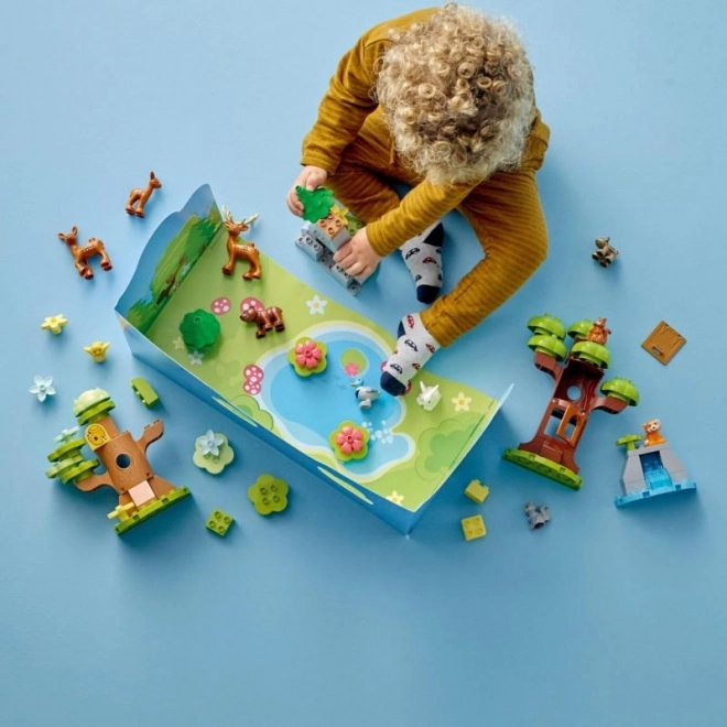 LEGO Divoká zvířata Evropy