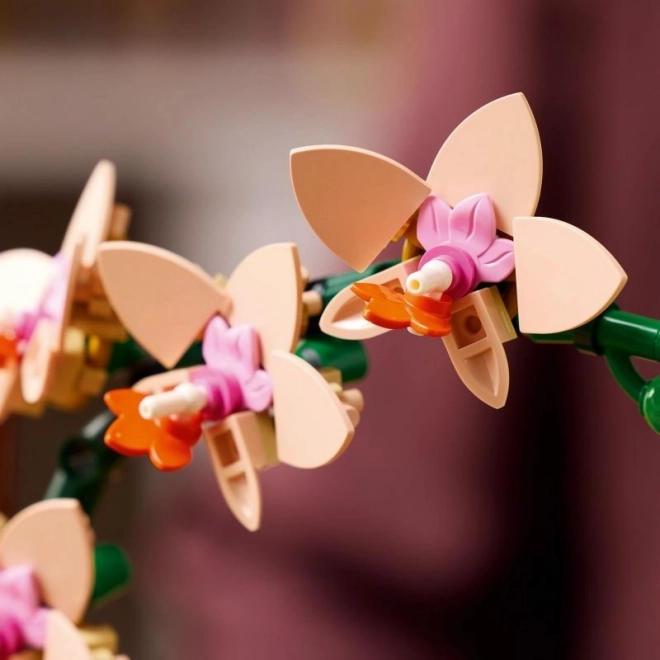 Lego Botanicals Malá Orchidej