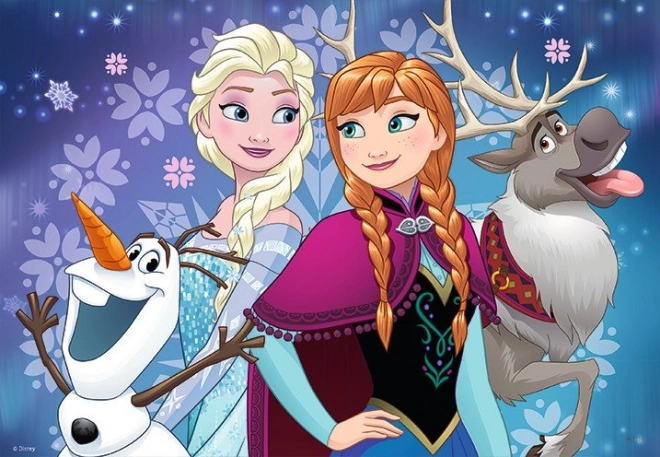 Disney Ledové království 2x24 dílků