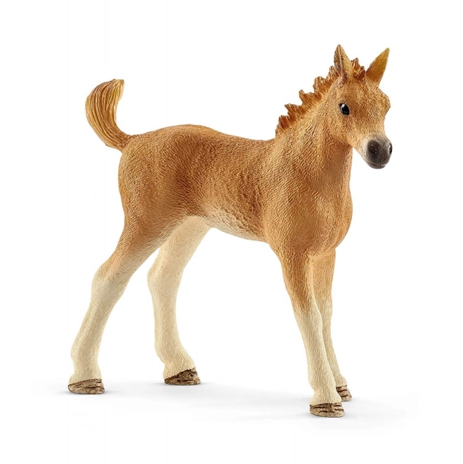 SCHLEICH Horse Club® 42432 Set hříbě a Quarter kůň se štěňátkem a doplňky
