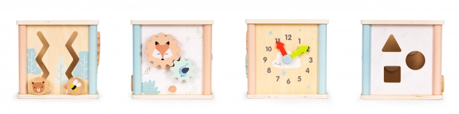 Dřevěné vzdělávací kostky Ecotoys