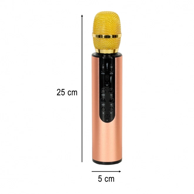 Bezdrátový mikrofon na karaoke Bluetooth černý – Zlatý