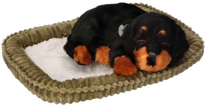 Oddychající štěňátko Rottweiler