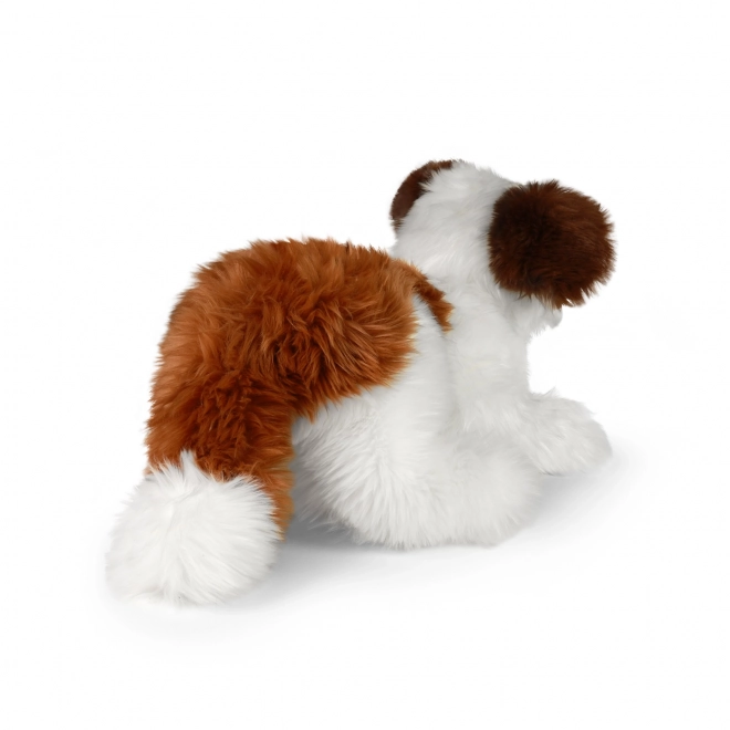 Rappa Plyšový pes Shih-tzu 45 cm ECO-FRIENDLY