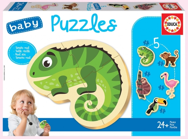 EDUCA Baby puzzle Tropická zvířata 5v1 (3-5 dílků)