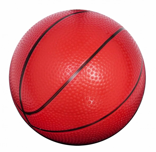 Basketbalový míč 205cm + příslušenství
