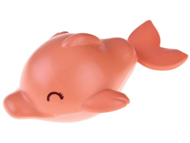 Delfínek pro radostné koupání