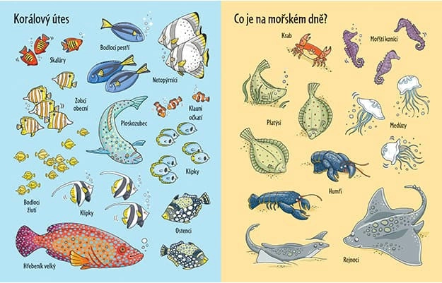 Samolepková knížka Pod hladinou
