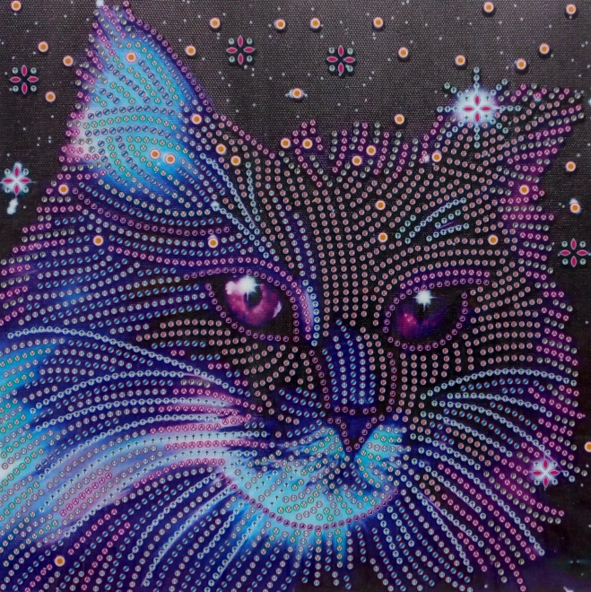 Diamantové malování 7D Hvězdné kotě 30x30 cm