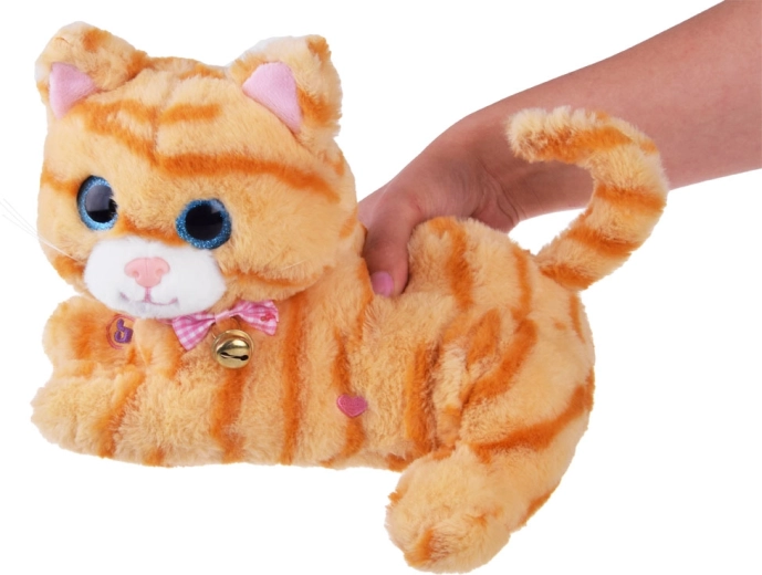 Nahrávání zprávy a muzikální režim