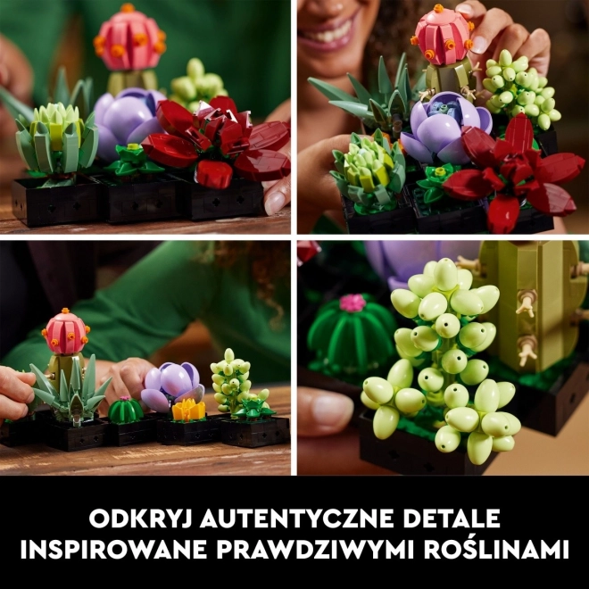 LEGO Botanické ikony 10309 Sukulenty