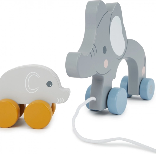 Bezpečné a kvalitní dřevěné zpracování